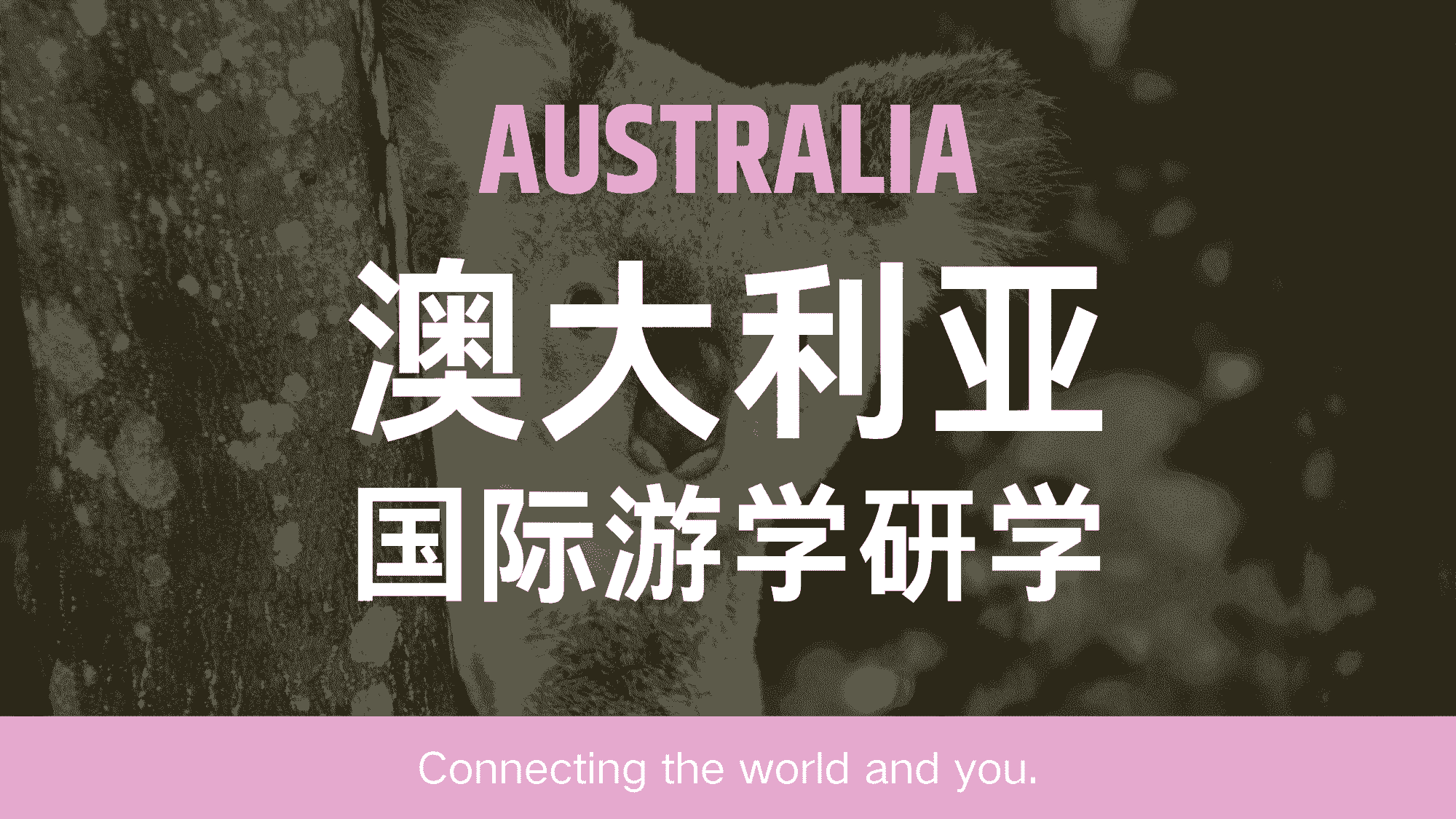 澳大利亚国际游学研学
