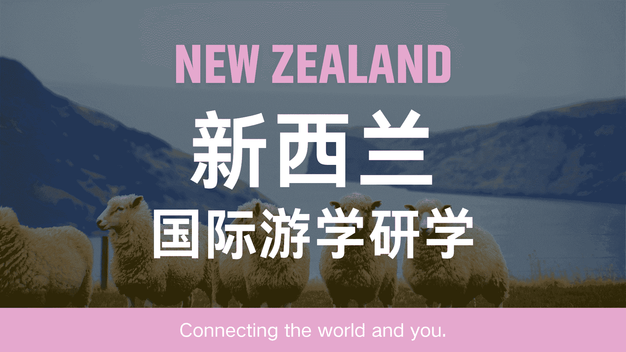 新西兰15天14晚游学之旅